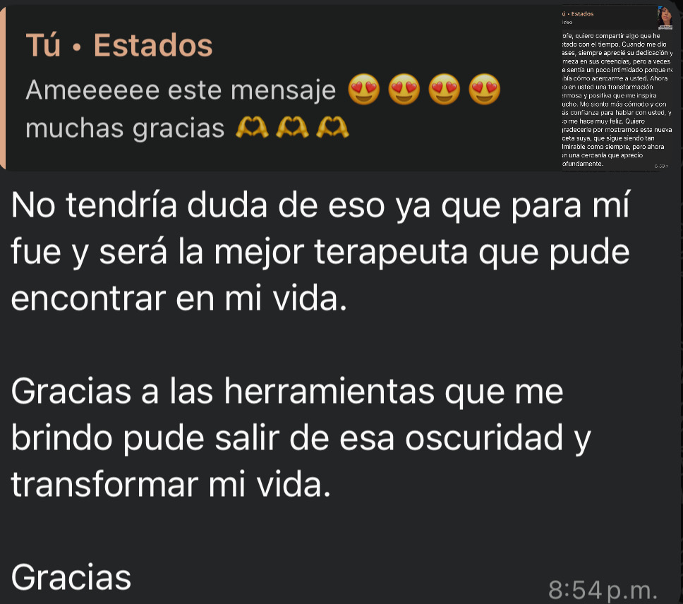 Testimonio visual 7
